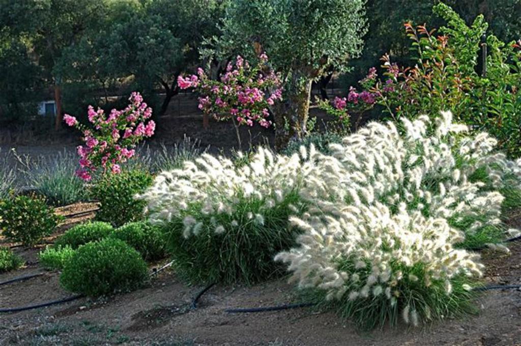 Quinta Da Espada เอโวรา ภายนอก รูปภาพ